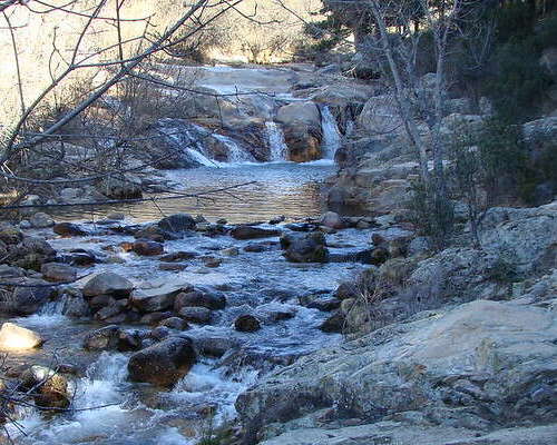 Entorno riachuelos en el Puerto de Navacerrada