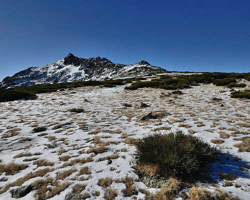 Montañas entorno Puerto de Navacerrada nevadas